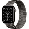 Apple Watch Series 11 46mm Slate Titanium Case with Milanese Loop Slate